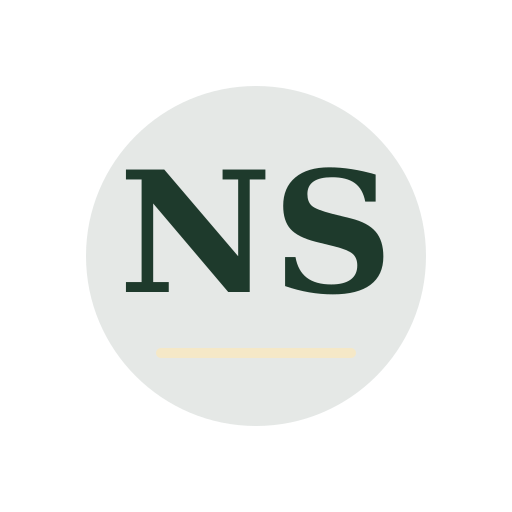 North Shore Air Duct Services logo